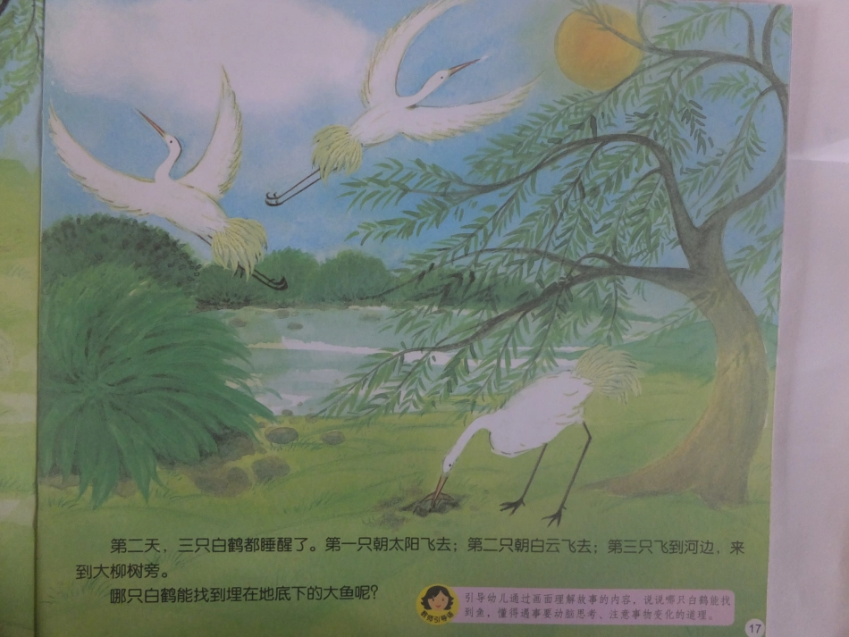 三只白鹤1(2)_第2页