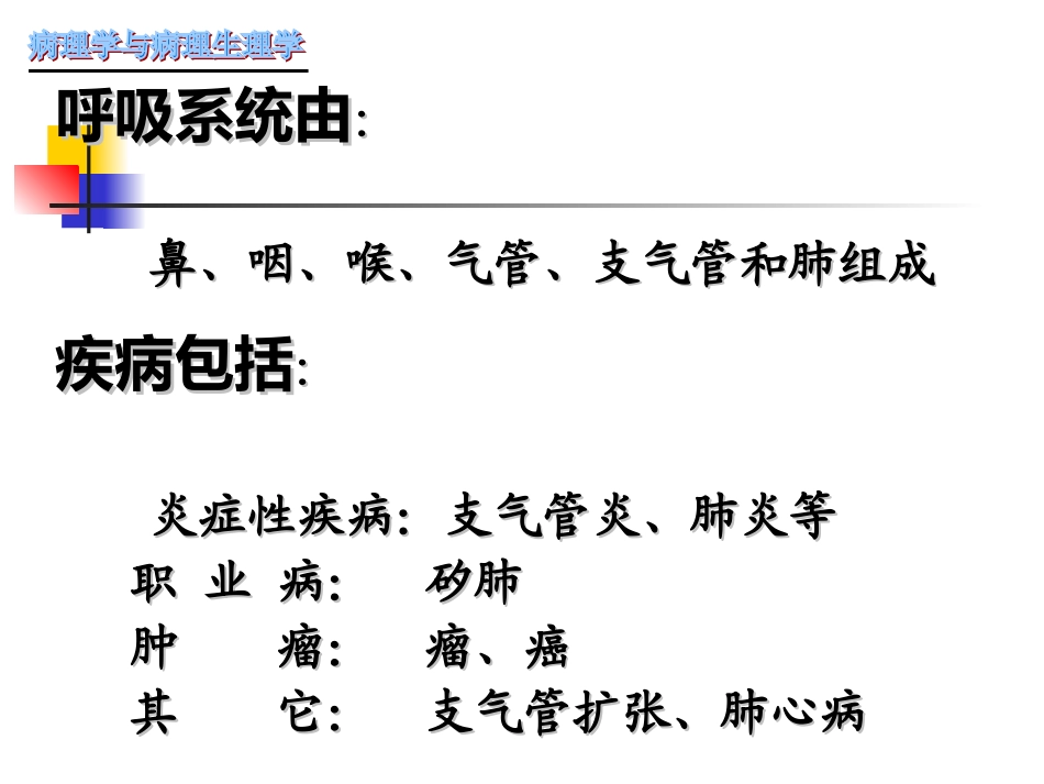 慢性支气管炎-肺炎_第2页