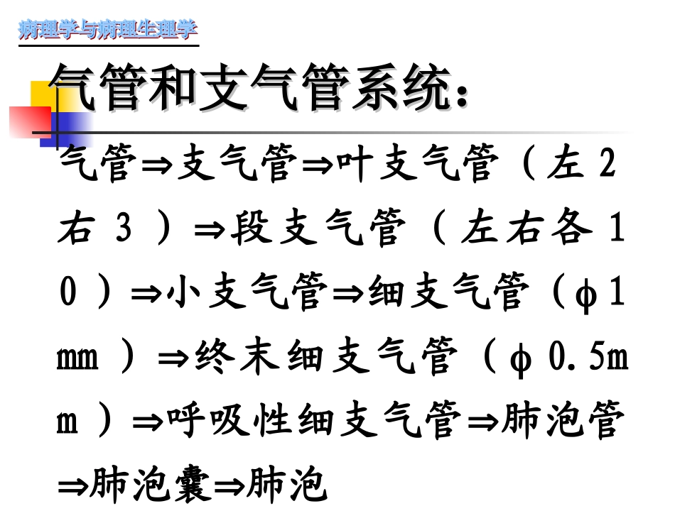 慢性支气管炎-肺炎_第3页