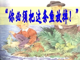 你必须把这条鱼放掉(第一课时）