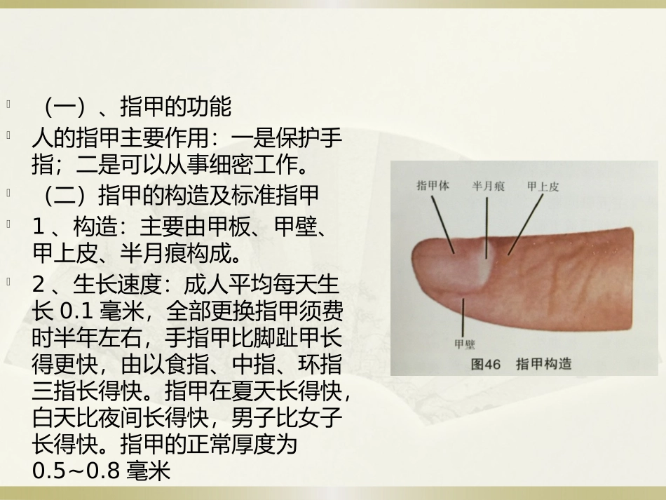 手诊第四节指甲知健康_第3页