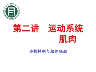 第二讲  运动系统(肌肉)