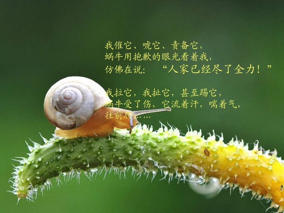 牵着蜗牛去散步_第3页