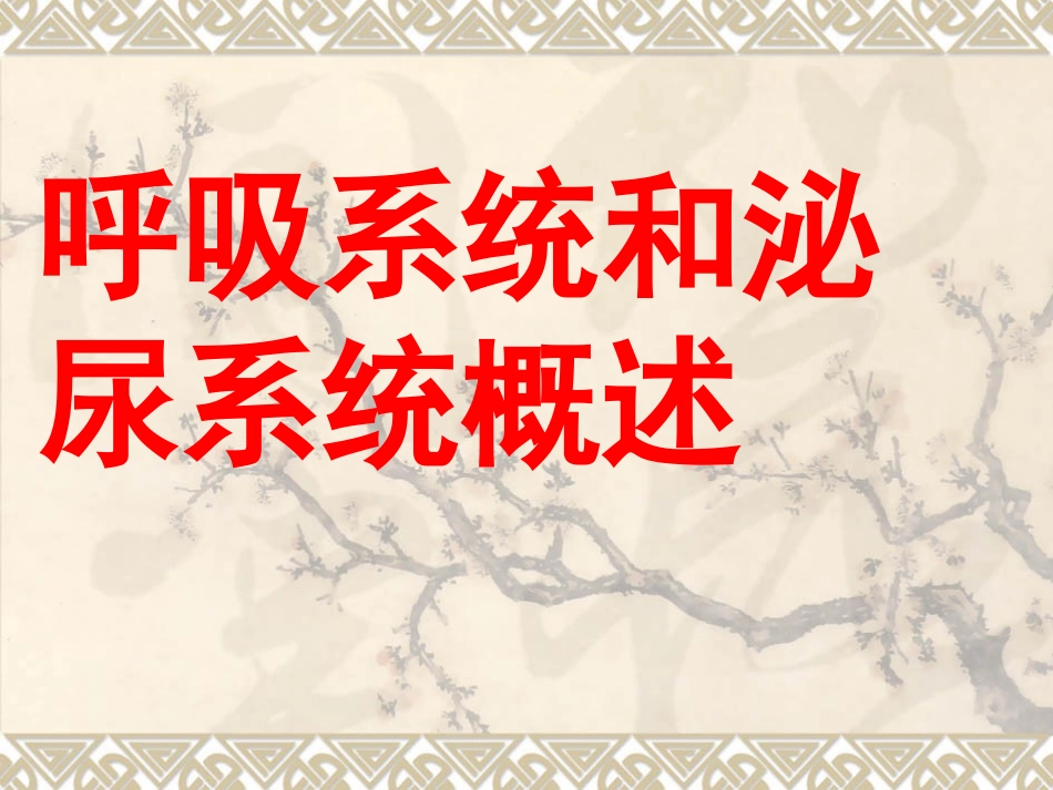 呼吸系统和泌尿系统概述_第1页