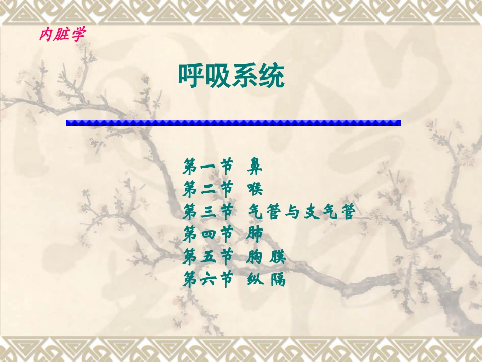 呼吸系统和泌尿系统概述_第2页