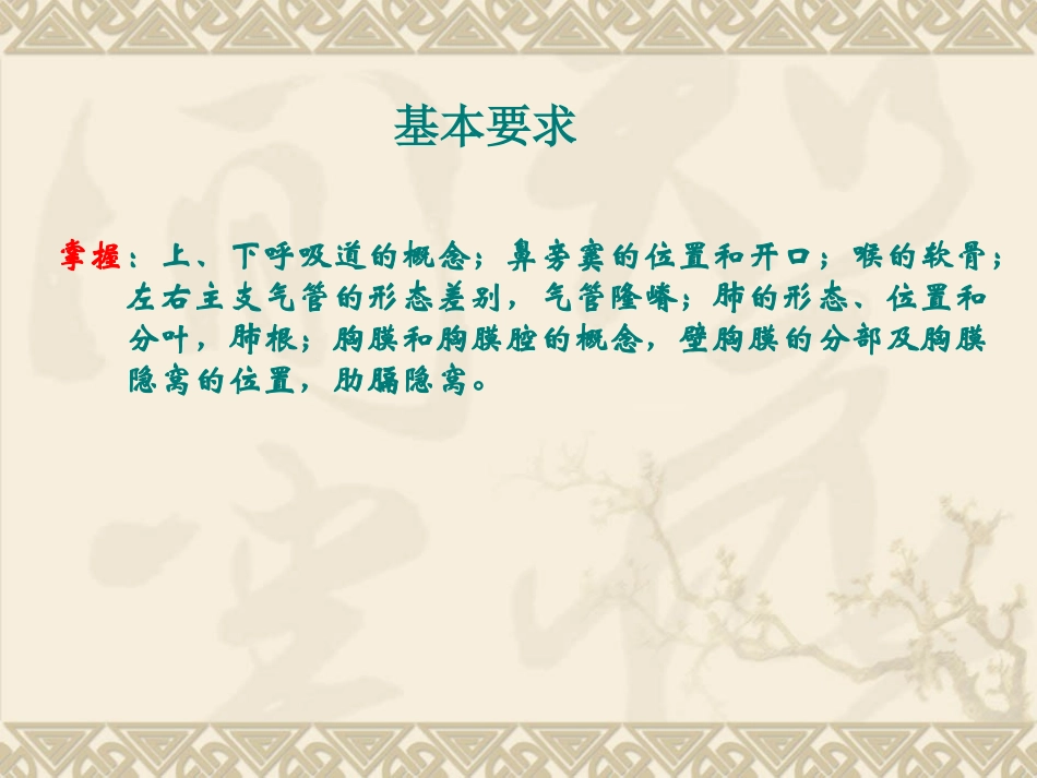 呼吸系统和泌尿系统概述_第3页