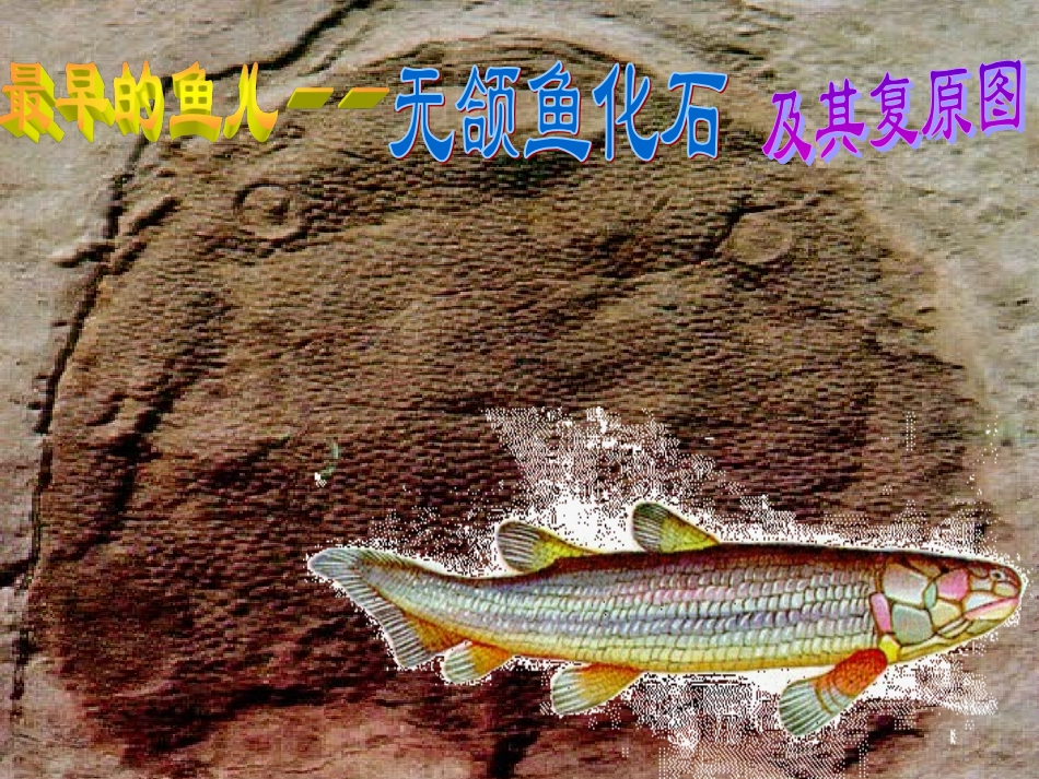《化石吟》(1)_第2页