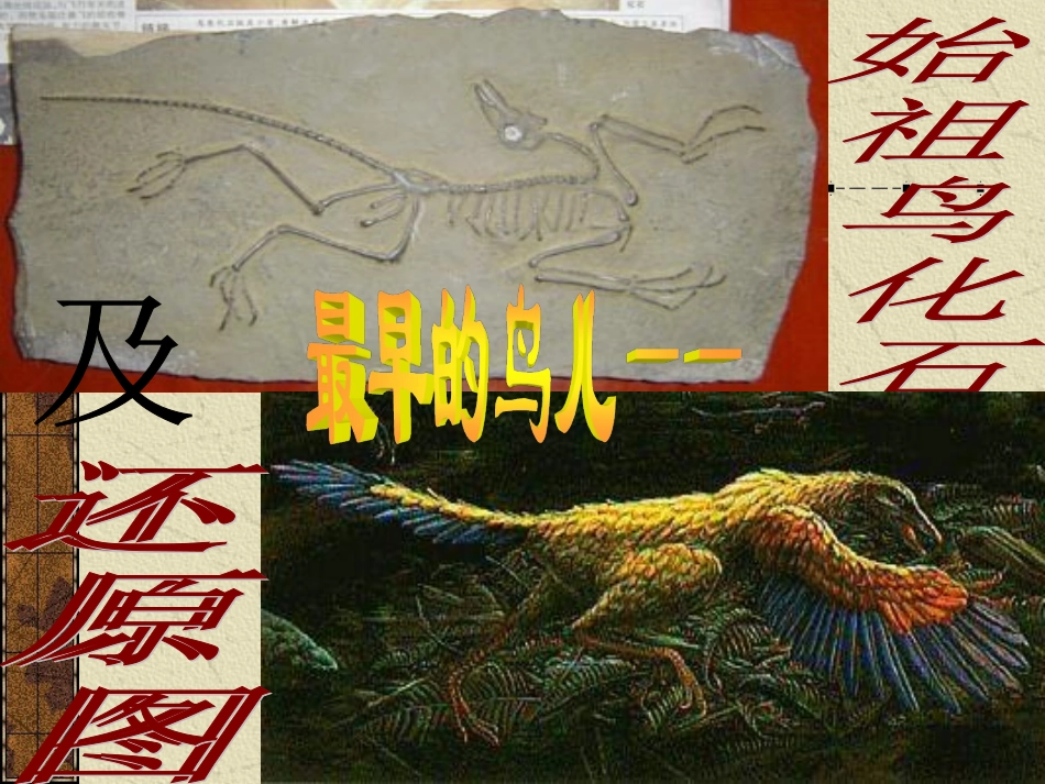 《化石吟》(1)_第3页