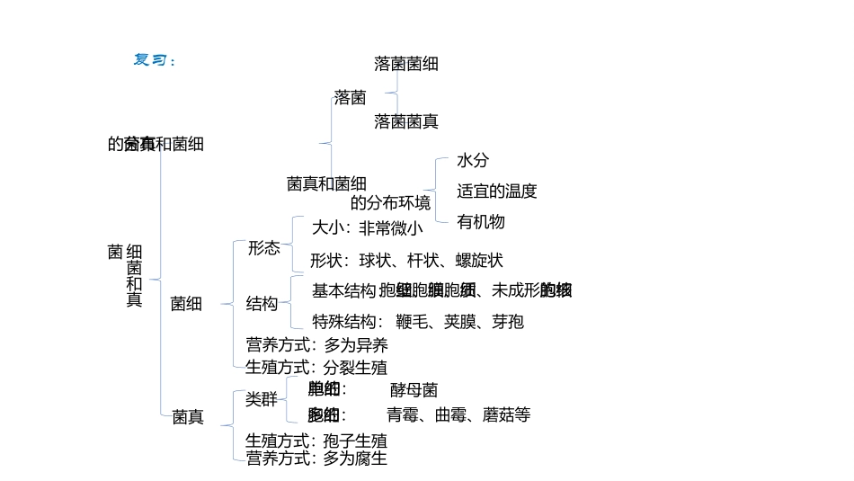 细菌和真菌在自然界中的作用演示文件_第1页