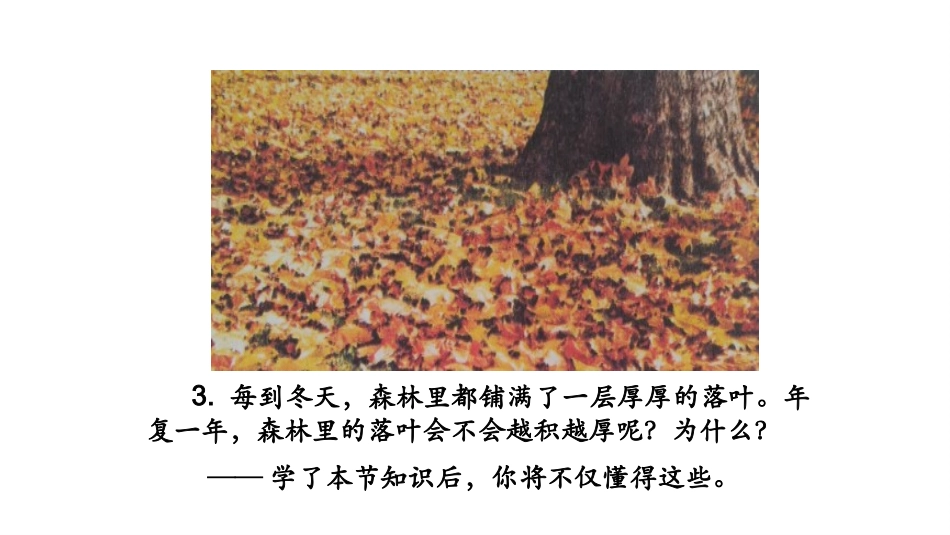 细菌和真菌在自然界中的作用演示文件_第3页