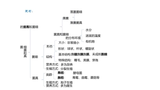 细菌和真菌在自然界中的作用演示文件