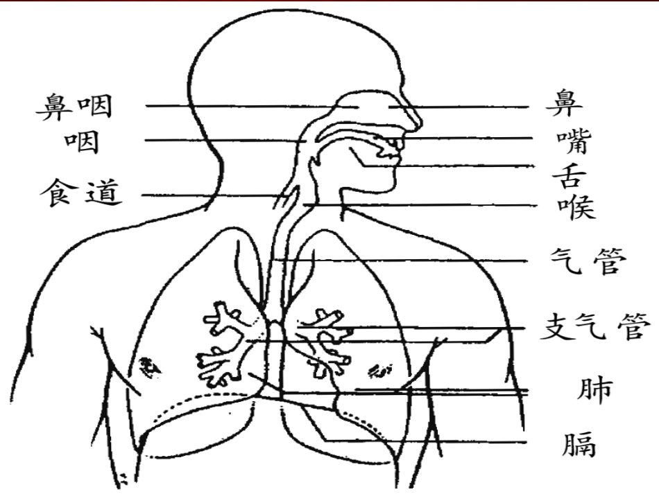 气道梗阻急救法_第3页