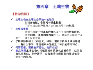 Chap04-土壤生物