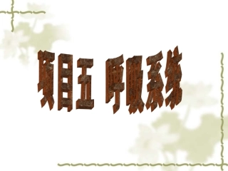 呼吸系统幻灯片
