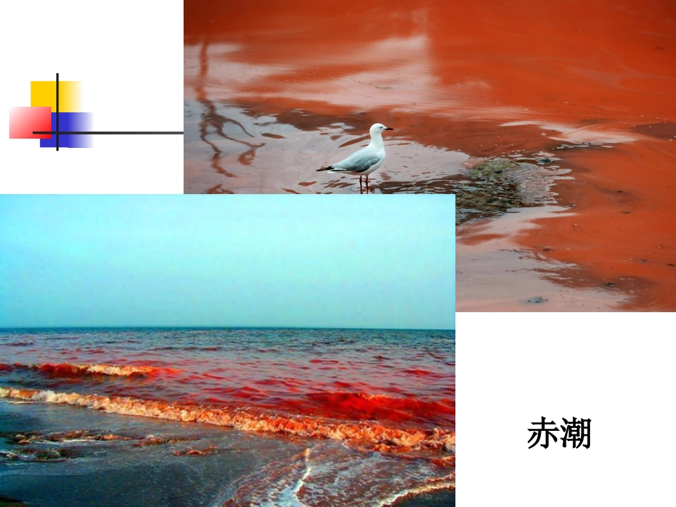 水体富营养化评价与治理_第3页