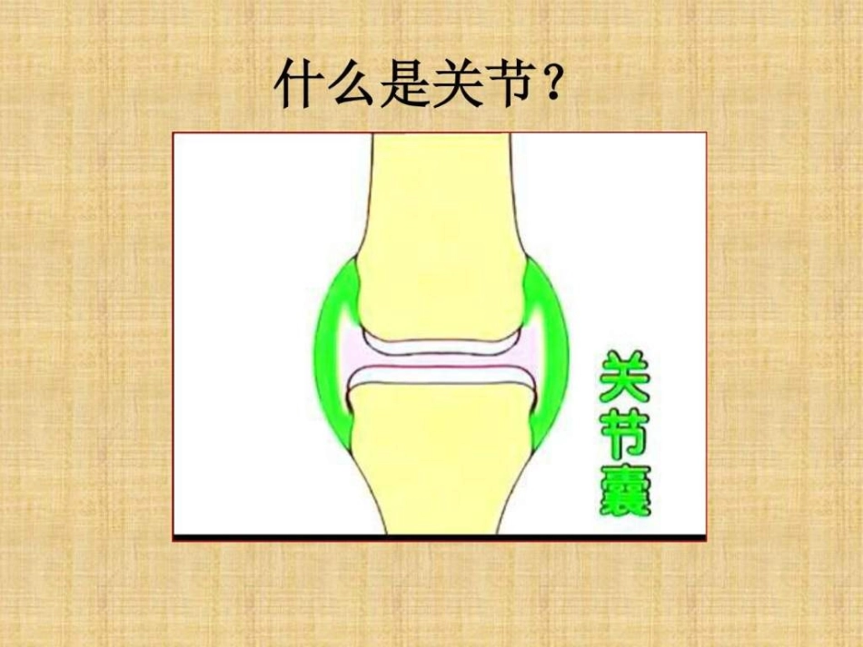 a骨关节炎与骨疏松症_第2页