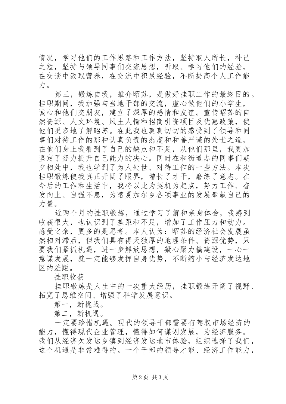 街道办事处挂职学习心得体会_第2页