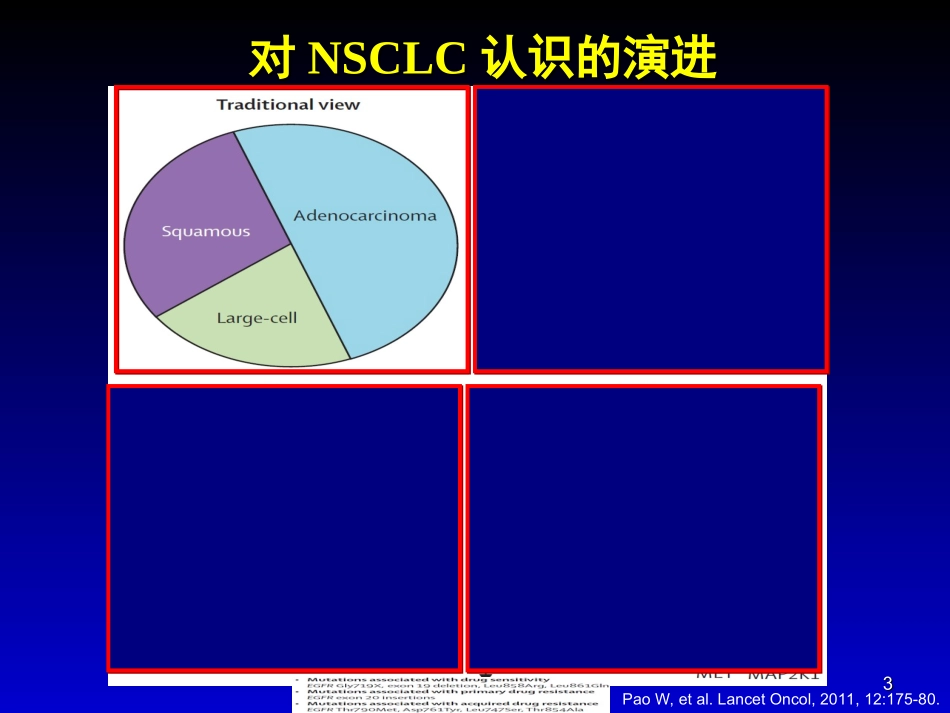 【资料】北京307医院刘晓晴教授幻灯_第3页