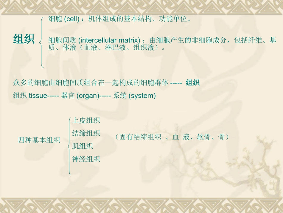 上皮与结缔组织_第2页