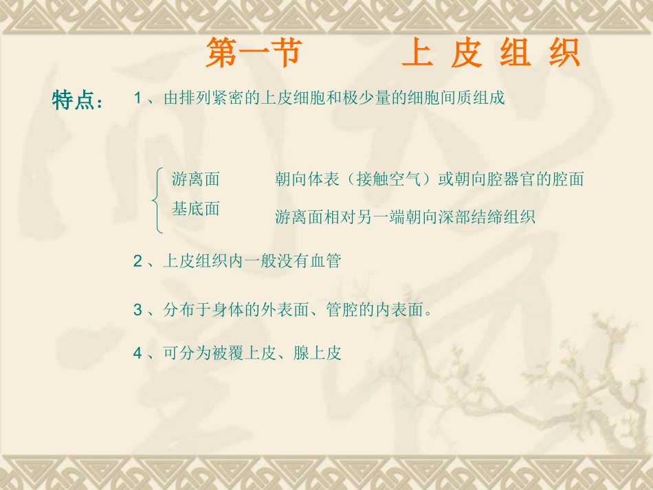 上皮与结缔组织_第3页