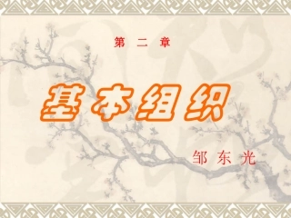 上皮与结缔组织