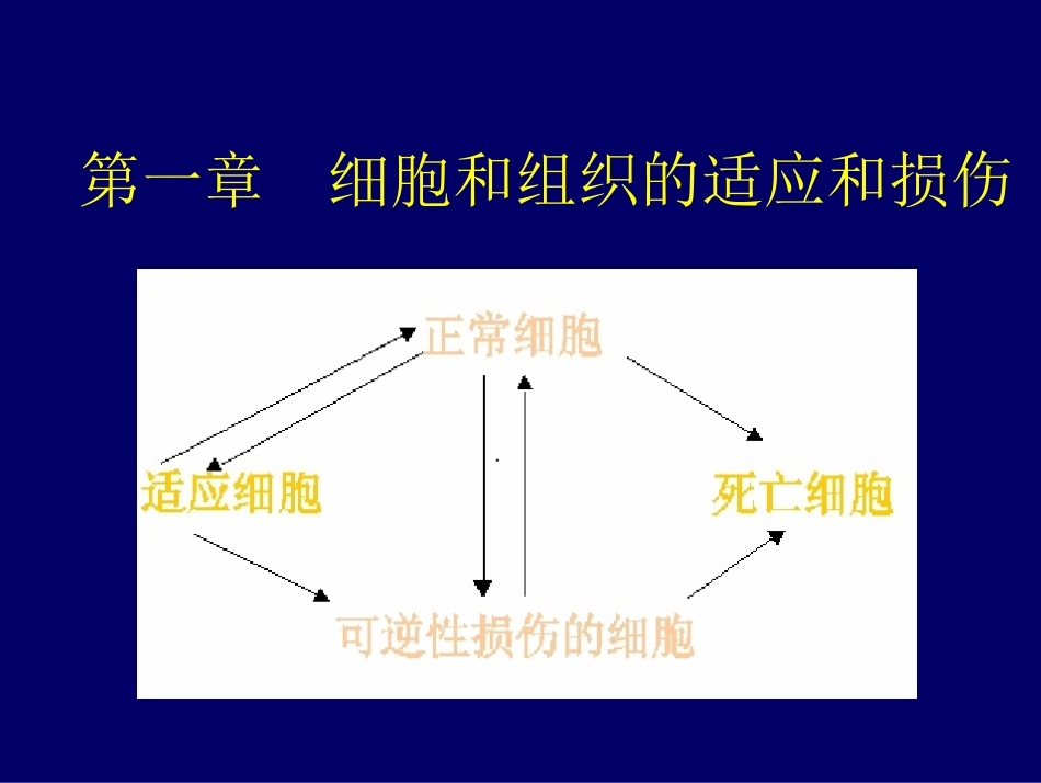细胞和组织的损伤_第1页