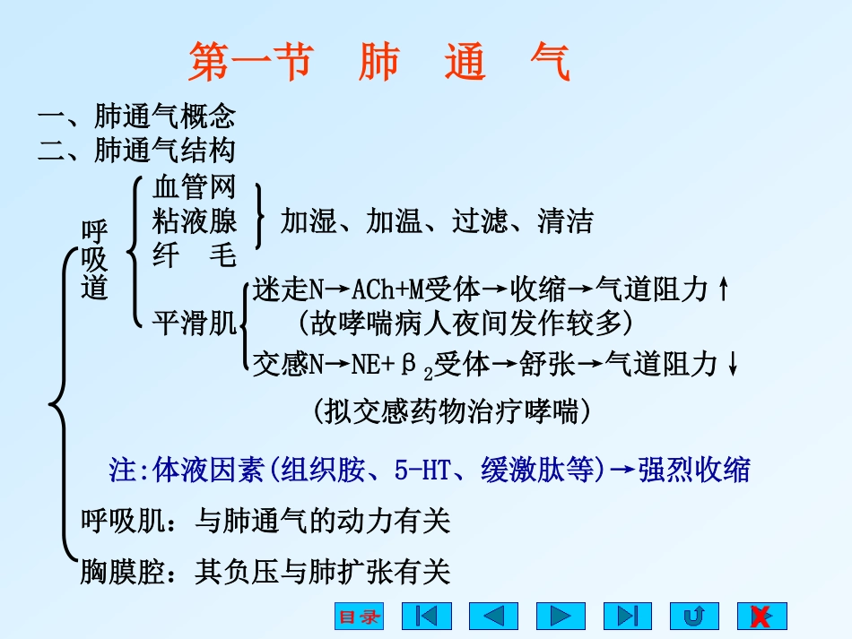 生理学课件_呼吸_ppt[94P][5.03MB]_第3页