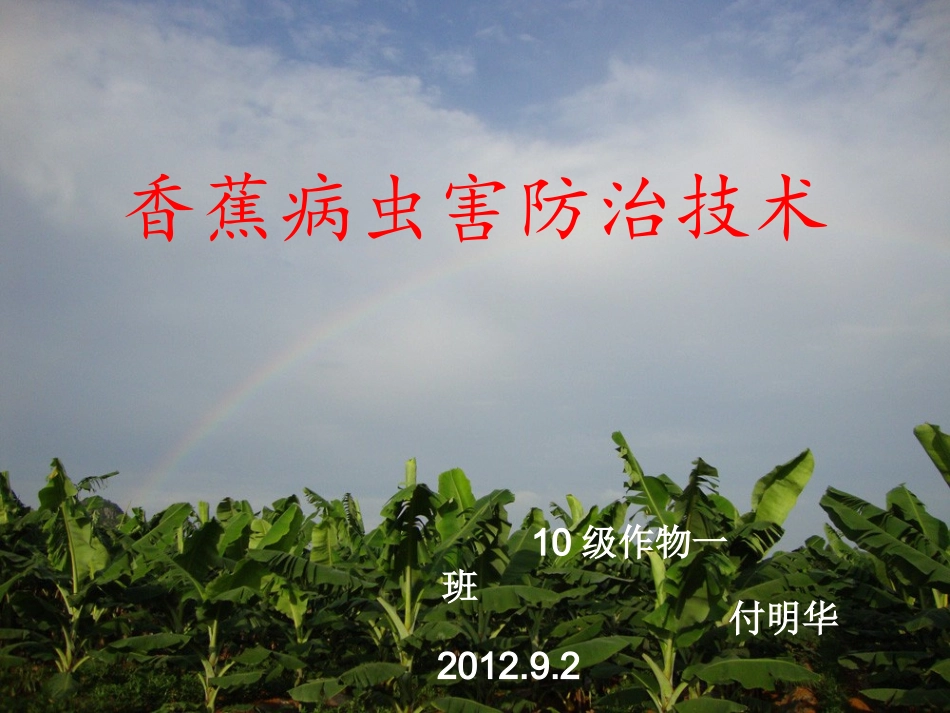 香蕉病虫害防治技术_第1页