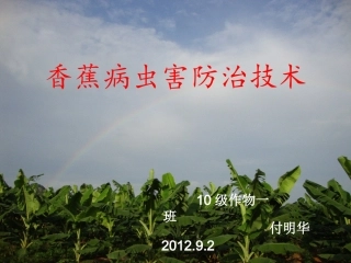 香蕉病虫害防治技术