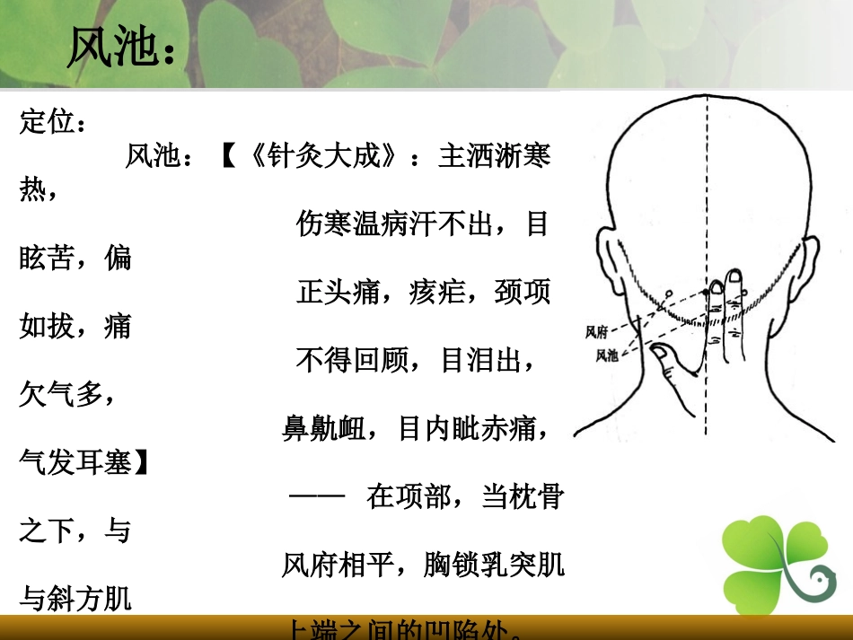 经络养生秘诀_第3页