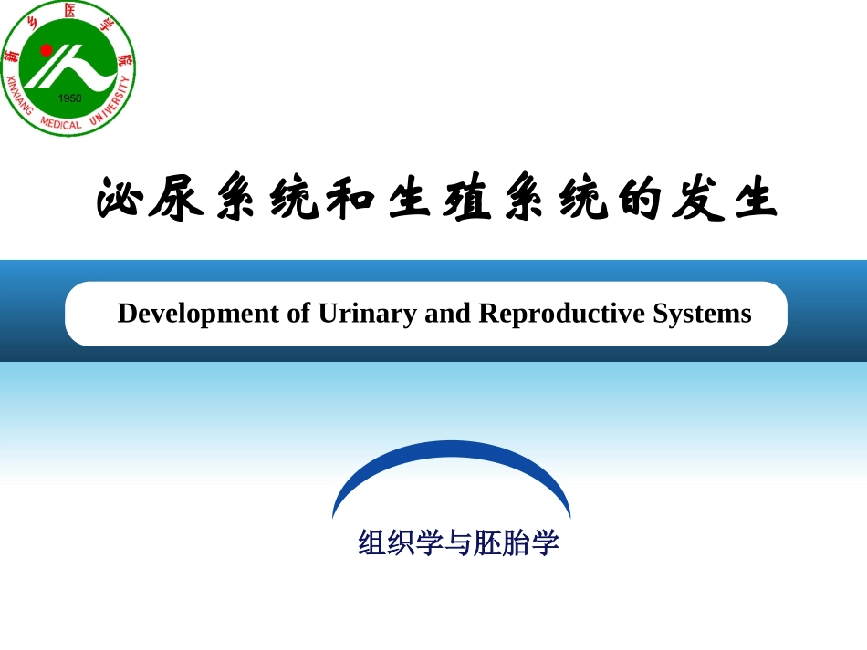 泌尿系统及生殖系统的发生_第2页