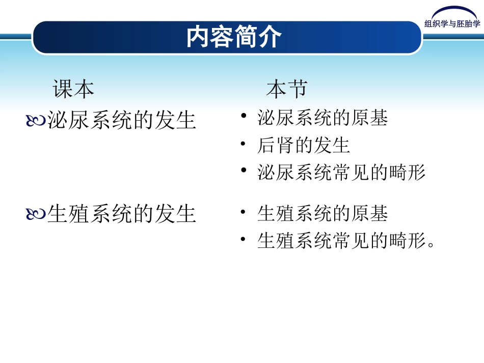 泌尿系统及生殖系统的发生_第3页