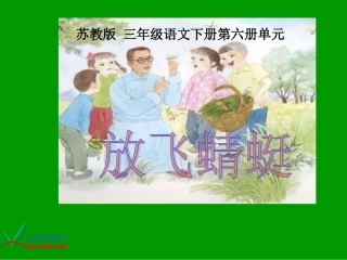 《放飞蜻蜓》PPT课件