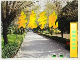 第三章 其他微生物
