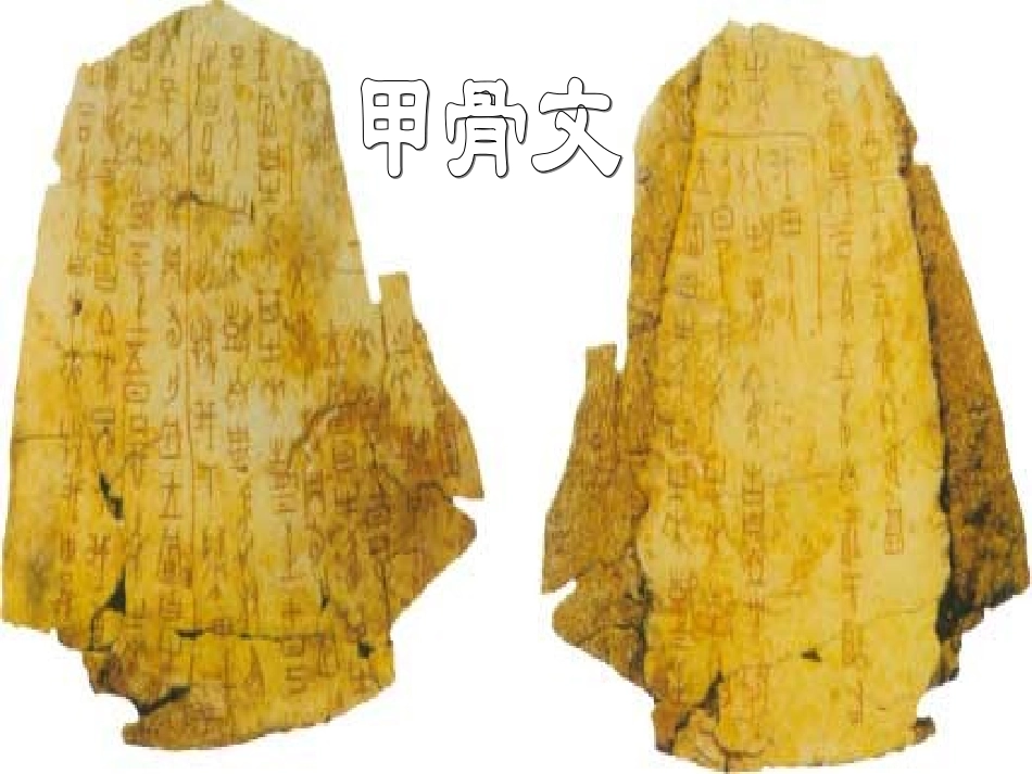 中华文化的勃兴_第3页