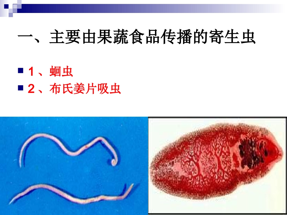 《烹饪营养与卫生》-第十六讲-食源性寄生虫病及其控制A-2012优化版_第2页