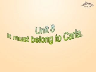 【金识源】2014年秋九年级英语全册Unit8ItmustbelongtoCarla（第3课时）课件（新版）人教新目标版