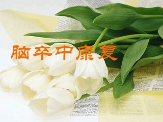 最新权威-脑卒中康复
