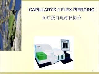 sebia capillarys2 fp电泳仪简介
