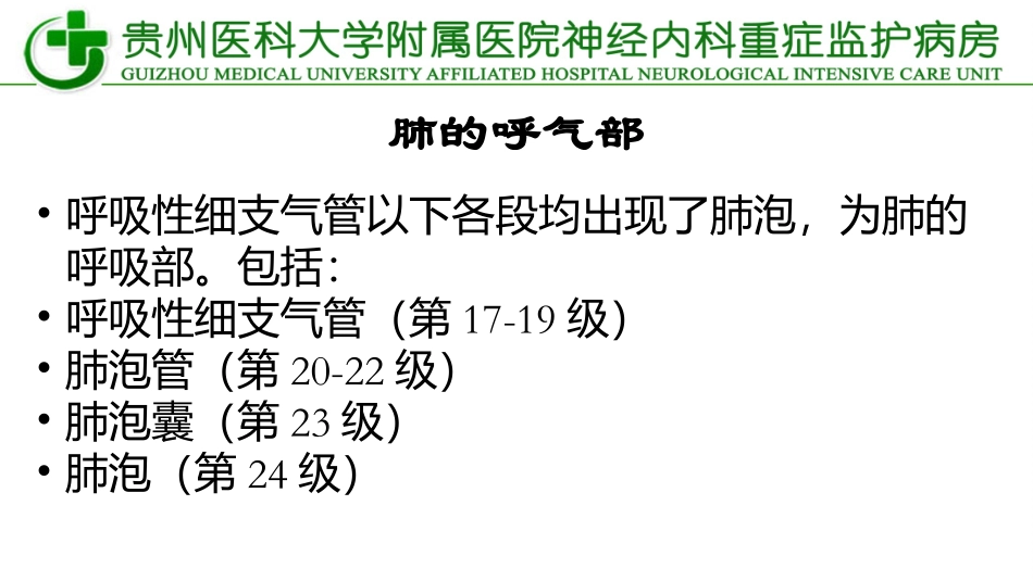纤维支气管镜_第3页