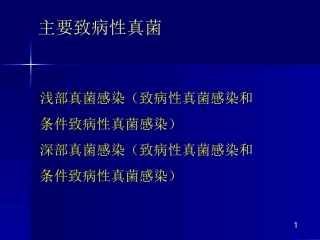 主要致病性真菌