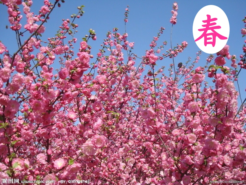 最新2013927识字5新_第2页