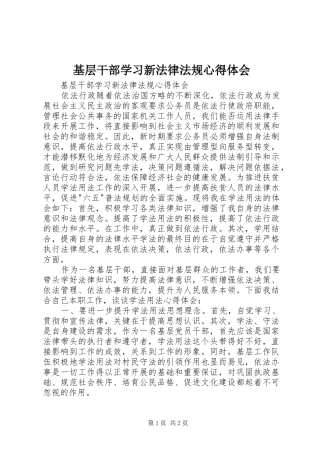 基层干部学习新法律法规心得体会