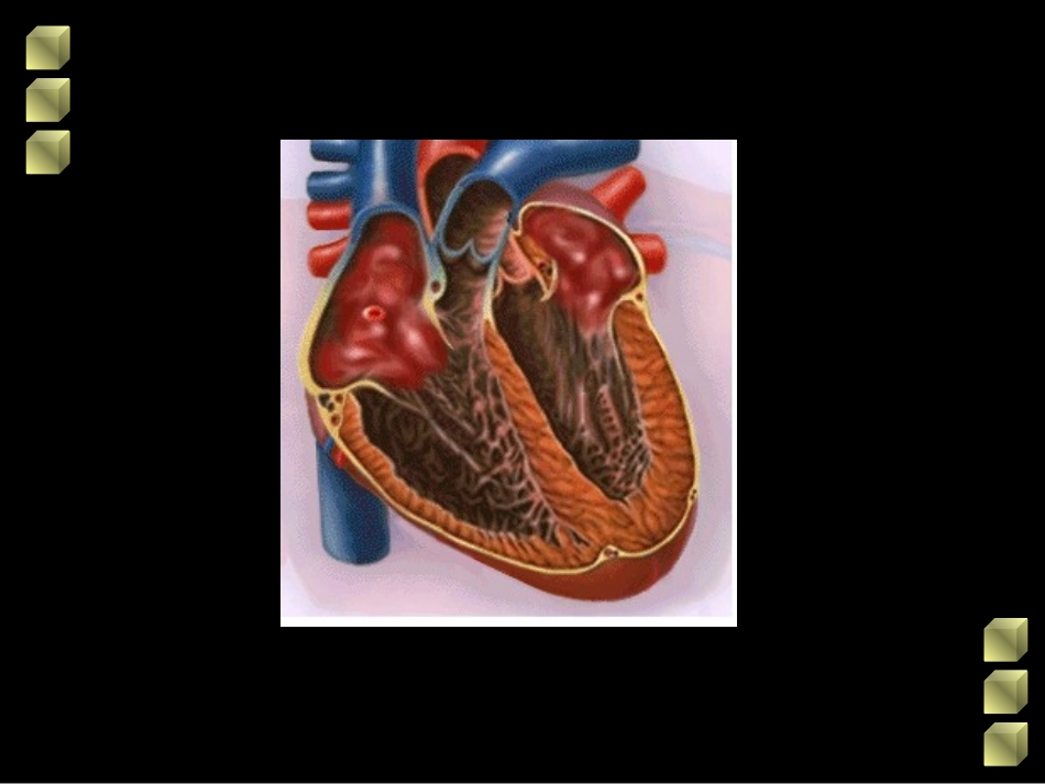 先天性心脏病血液动力学改变_第1页