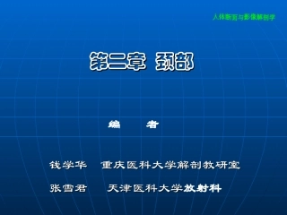 颈部断面与影像解剖