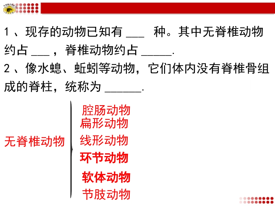 胸鳍腹鳍单鳍臀鳍尾鳍_第3页