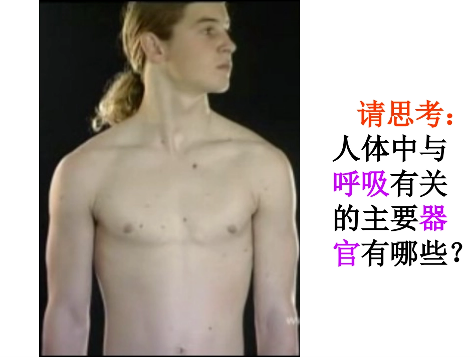 呼吸道对空气的处理和气体交换1_第3页