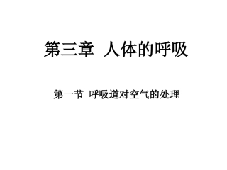 呼吸道对空气的处理和气体交换1