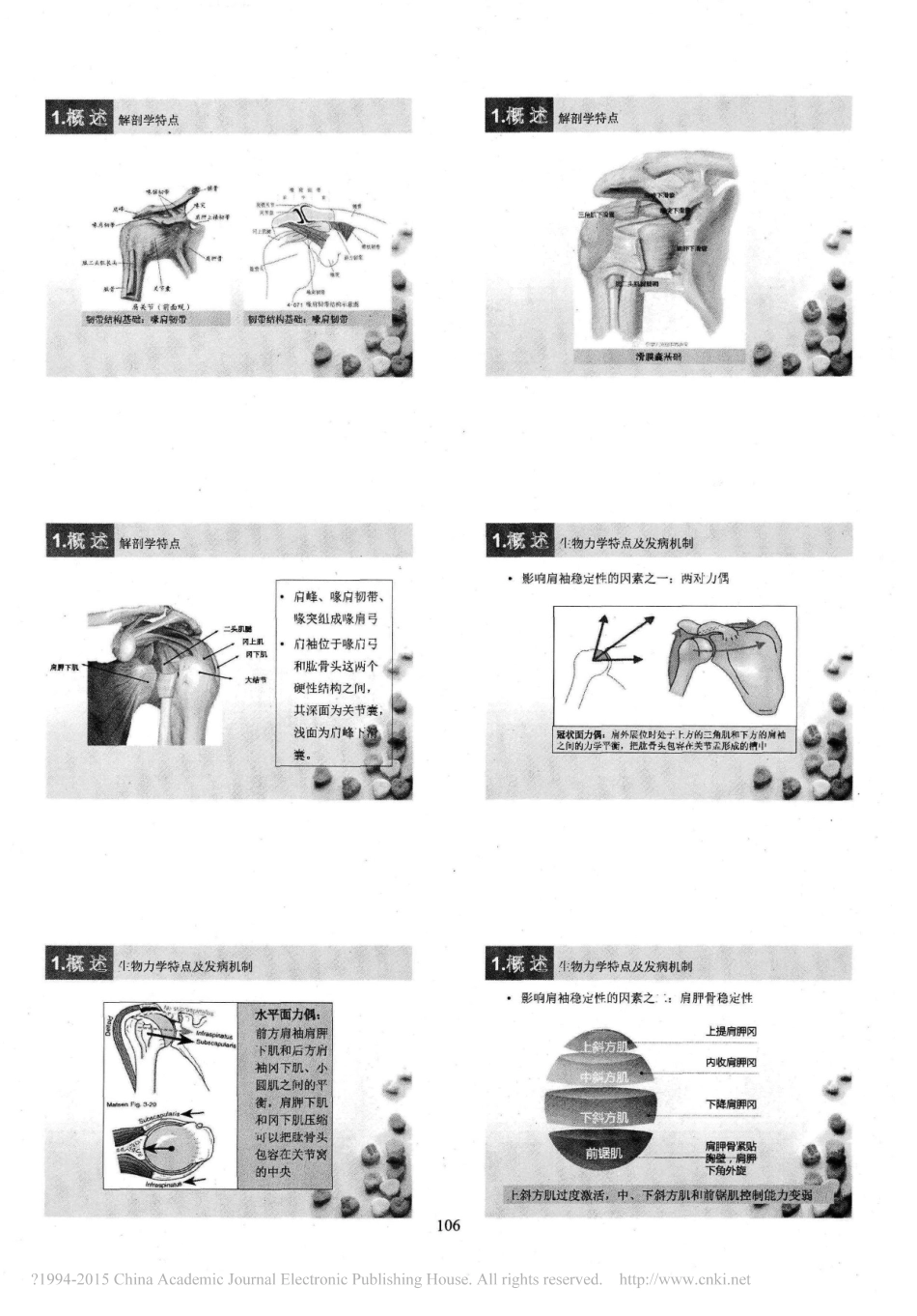 超声引导下的肩袖损伤定位注射技术_梁英_第2页