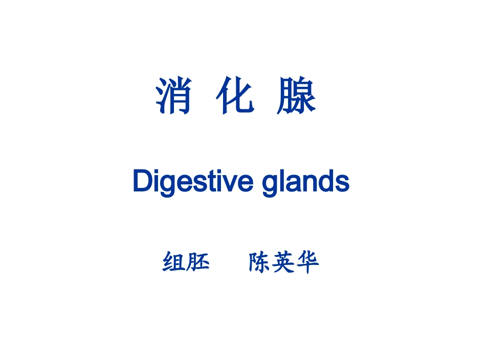 消化腺.ppt_第2页